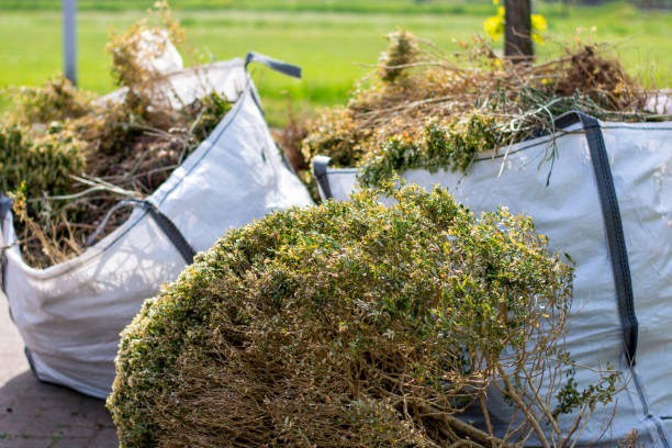 Reliable Madison, NE Junk Removal Services Solutions